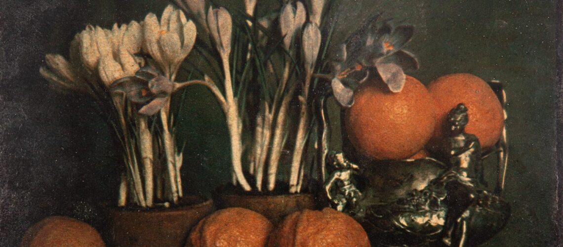 Згнічена сторінка європейського мистецтва – львівська школа фотографії